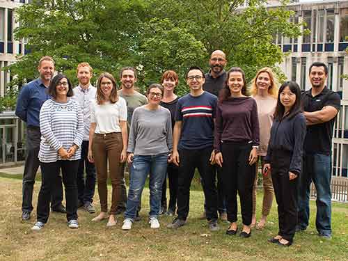 The Microsimulation team